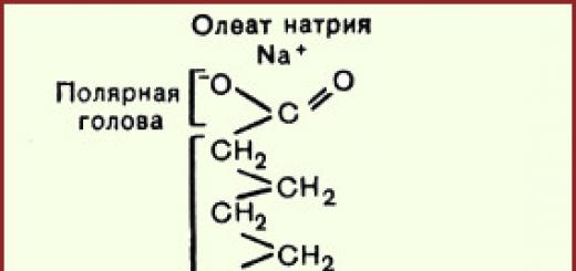 Молекулы липидов образуются из